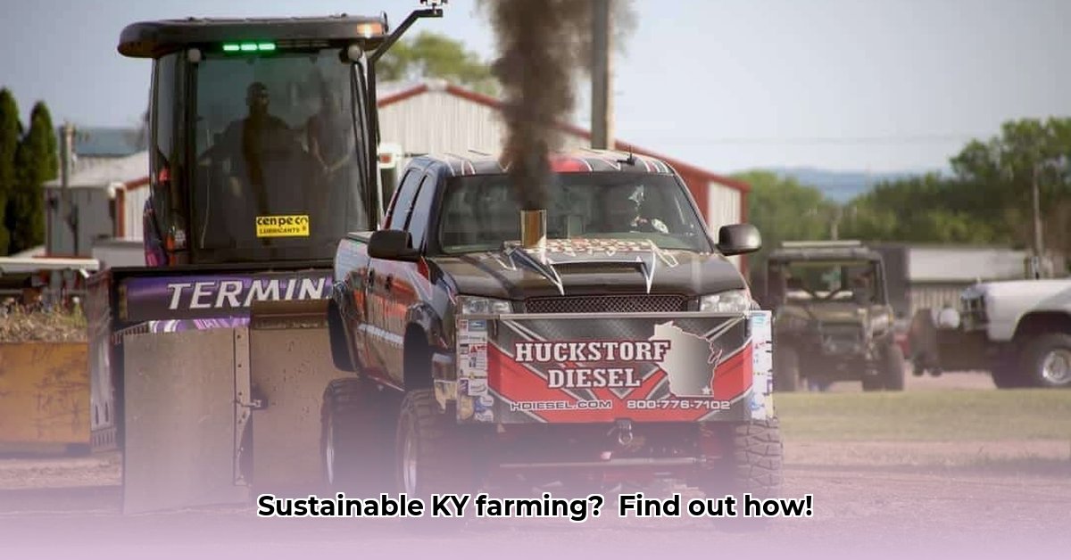 tractor-supply-beaver-dam-ky